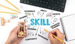 Study vs. Skill: What Really Gets You Hired in 2025